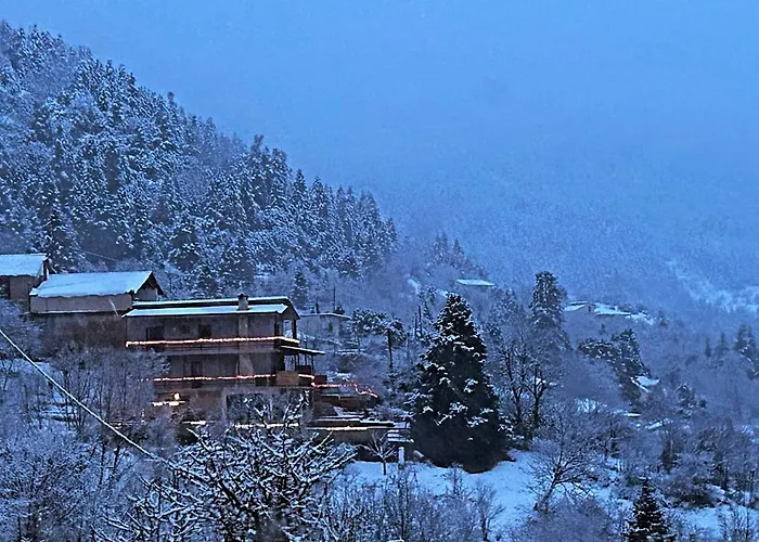 Dremissa Παύλιανη